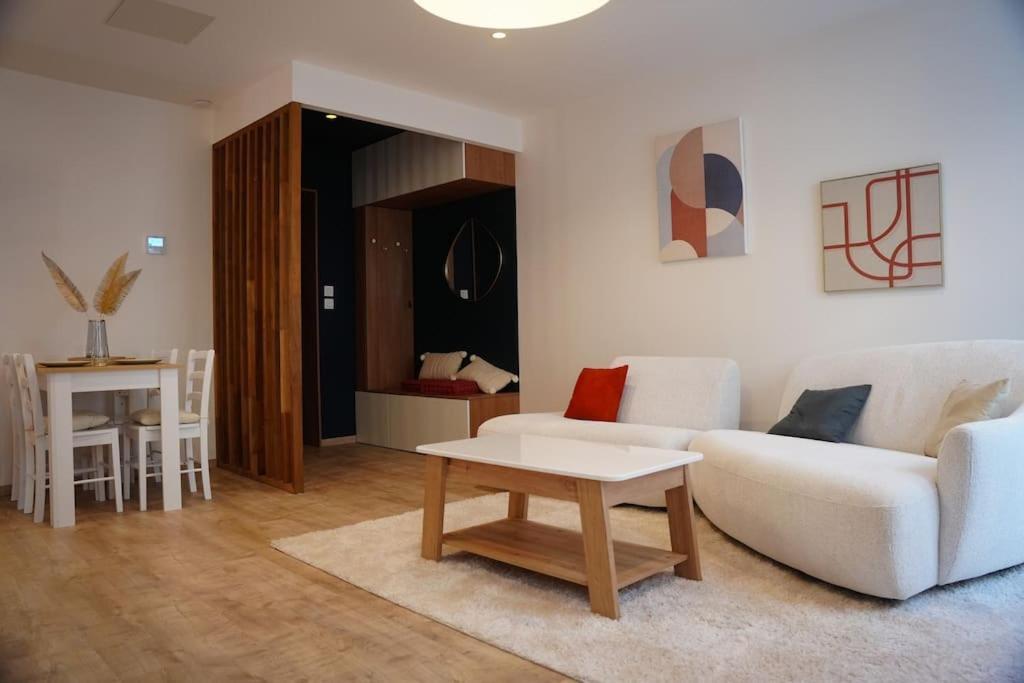 Bel Appartement Centre-Ville サン・テティエンヌ エクステリア 写真